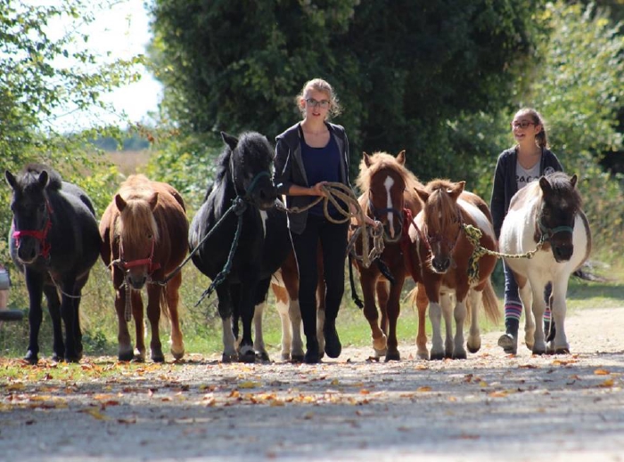 Un oiseau endémique de la Charente